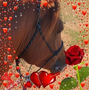 Meet your Posher, Sally